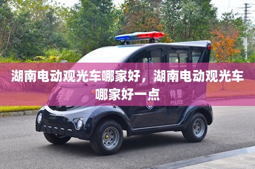 湖南电动观光车哪家好，湖南电动观光车哪家好一点