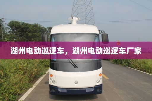 湖州电动巡逻车，湖州电动巡逻车厂家