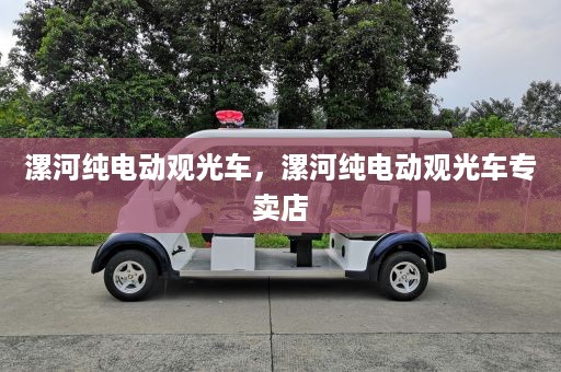 漯河纯电动观光车，漯河纯电动观光车专卖店