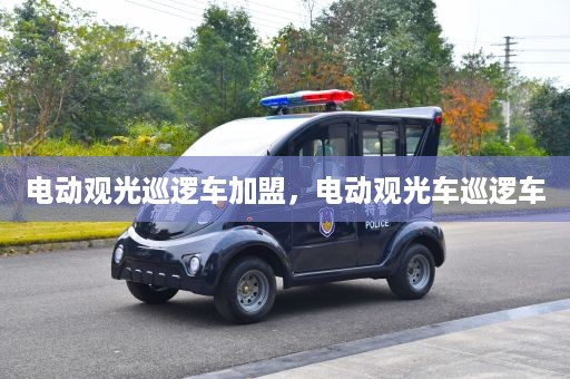 电动观光巡逻车加盟，电动观光车巡逻车