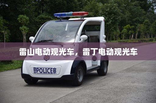 雷山电动观光车，雷丁电动观光车