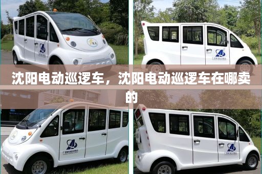 沈阳电动巡逻车，沈阳电动巡逻车在哪卖的