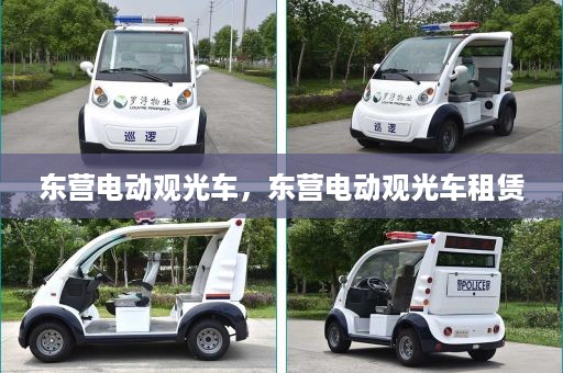 东营电动观光车，东营电动观光车租赁