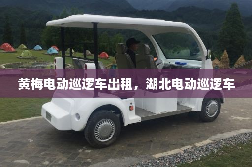 黄梅电动巡逻车出租，湖北电动巡逻车