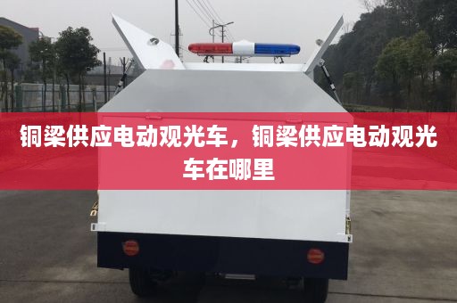 铜梁供应电动观光车，铜梁供应电动观光车在哪里