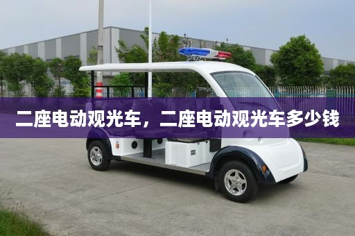 二座电动观光车，二座电动观光车多少钱