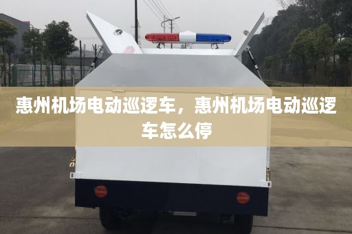 惠州机场电动巡逻车，惠州机场电动巡逻车怎么停