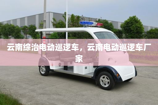 云南综治电动巡逻车，云南电动巡逻车厂家