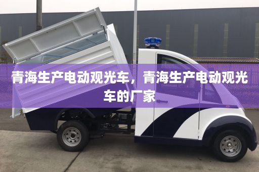 青海生产电动观光车，青海生产电动观光车的厂家