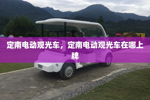 定南电动观光车，定南电动观光车在哪上牌