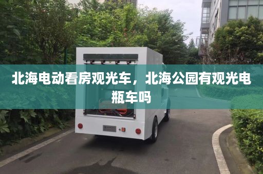 北海电动看房观光车，北海公园有观光电瓶车吗