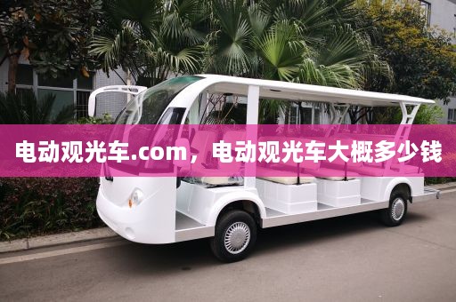 电动观光车.com，电动观光车大概多少钱