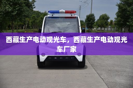 西藏生产电动观光车，西藏生产电动观光车厂家