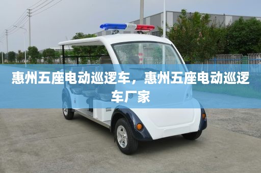 惠州五座电动巡逻车，惠州五座电动巡逻车厂家