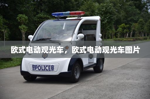 欧式电动观光车，欧式电动观光车图片