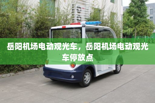 岳阳机场电动观光车，岳阳机场电动观光车停放点