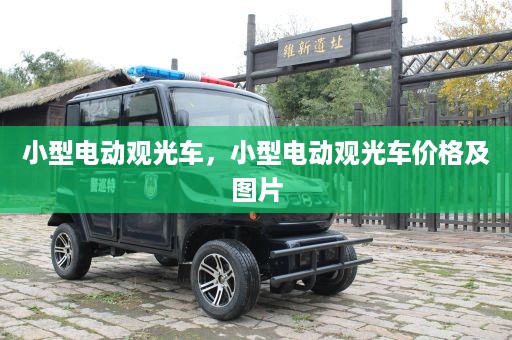 小型电动观光车，小型电动观光车价格及图片