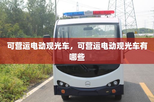 可营运电动观光车，可营运电动观光车有哪些