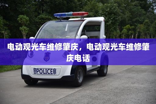 电动观光车维修肇庆，电动观光车维修肇庆电话