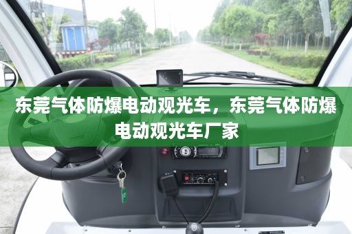 东莞气体防爆电动观光车，东莞气体防爆电动观光车厂家