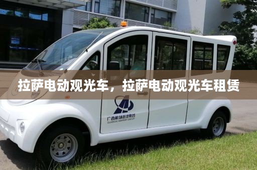 拉萨电动观光车，拉萨电动观光车租赁