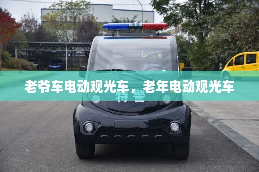 老爷车电动观光车，老年电动观光车