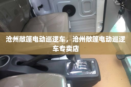 沧州敞篷电动巡逻车，沧州敞篷电动巡逻车专卖店