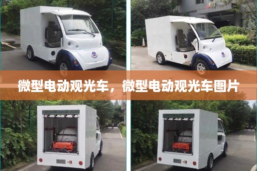 微型电动观光车，微型电动观光车图片