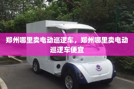 郑州哪里卖电动巡逻车，郑州哪里卖电动巡逻车便宜