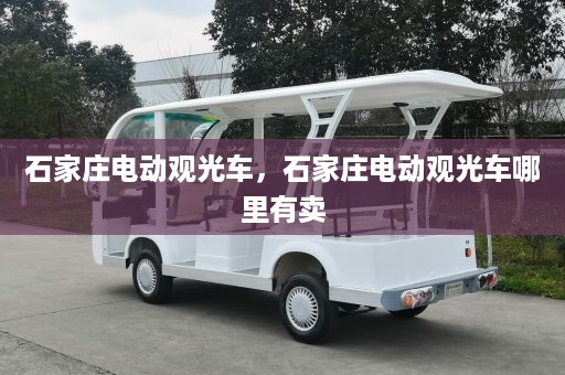 石家庄电动观光车，石家庄电动观光车哪里有卖