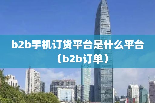 b2b手机订货平台是什么平台（b2b订单）