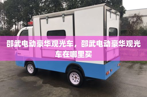 邵武电动豪华观光车，邵武电动豪华观光车在哪里买