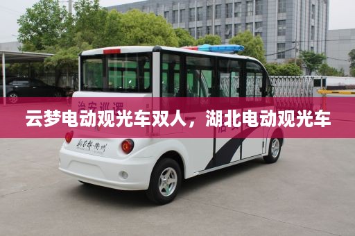 云梦电动观光车双人，湖北电动观光车