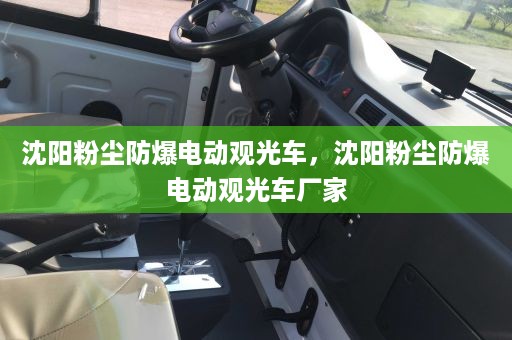 沈阳粉尘防爆电动观光车，沈阳粉尘防爆电动观光车厂家