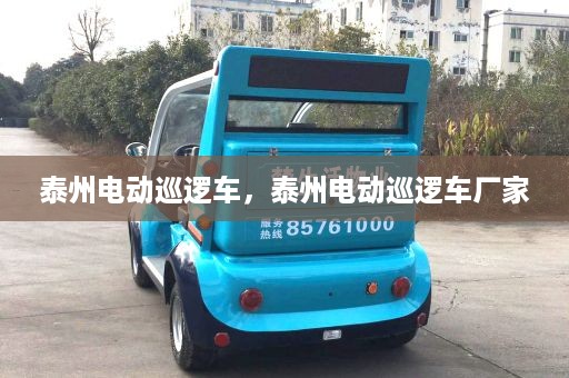 泰州电动巡逻车，泰州电动巡逻车厂家