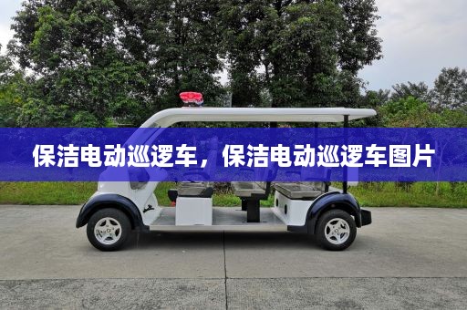 保洁电动巡逻车，保洁电动巡逻车图片