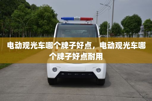 电动观光车哪个牌子好点，电动观光车哪个牌子好点耐用