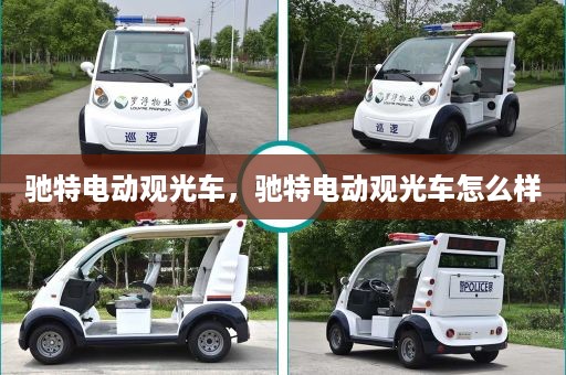 驰特电动观光车，驰特电动观光车怎么样