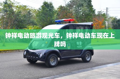 钟祥电动旅游观光车，钟祥电动车现在上牌吗