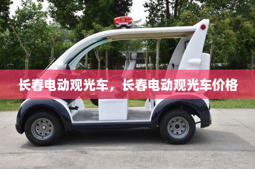 长春电动观光车，长春电动观光车价格