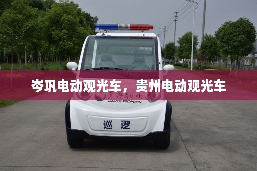 岑巩电动观光车，贵州电动观光车