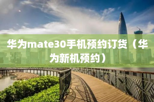 华为mate30手机预约订货（华为新机预约）