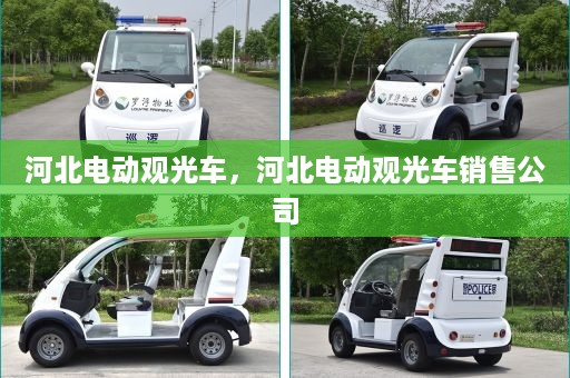 河北电动观光车，河北电动观光车销售公司