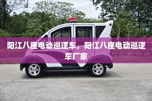 阳江八座电动巡逻车，阳江八座电动巡逻车厂家