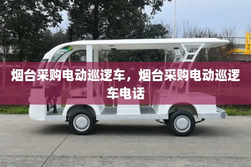 烟台采购电动巡逻车，烟台采购电动巡逻车电话