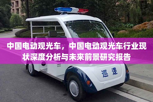 中国电动观光车，中国电动观光车行业现状深度分析与未来前景研究报告