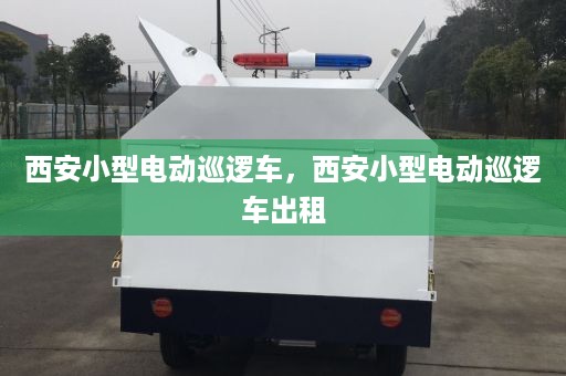 西安小型电动巡逻车，西安小型电动巡逻车出租