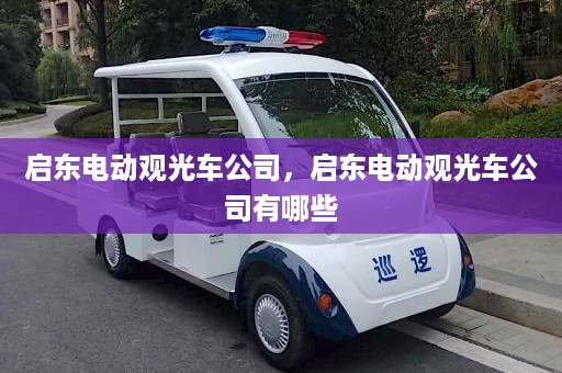 启东电动观光车公司，启东电动观光车公司有哪些