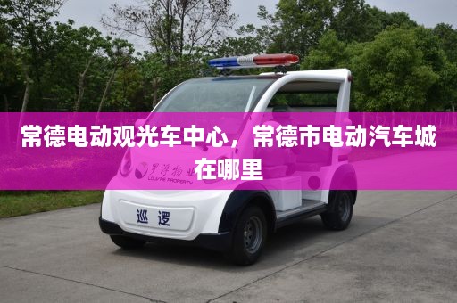 常德电动观光车中心，常德市电动汽车城在哪里