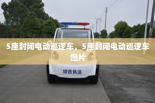 5座封闭电动巡逻车，5座封闭电动巡逻车图片